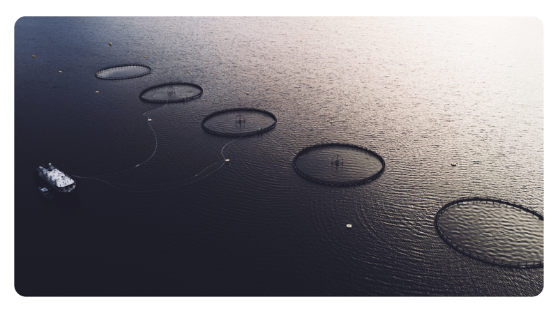 Blog-Fish-Farm-Norway-Aerial-1