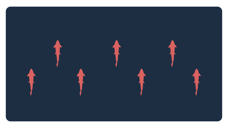 Blog-Salmon-Mortality-Tech-2025-Manolin
