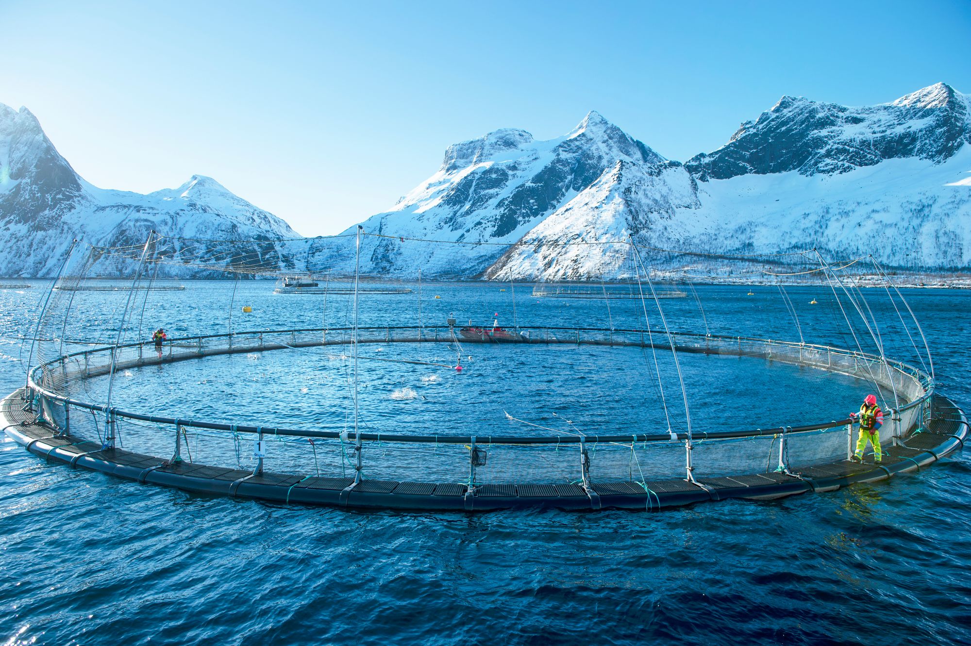 Norwegian-aquaculture---Credit-Norwegian-Seafood-Council--Johan-Wildhagen